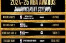 关于波兰新秀初登NBA赛场为球队点燃希望的信息