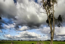 亚洲球队联赛前景广阔，国际足坛掀起热潮的简单介绍